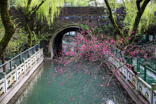 杭州鳳山水城門