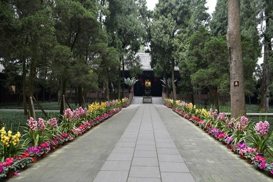 武侯祠風(fēng)光