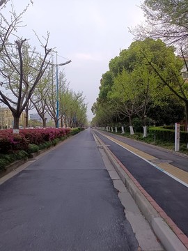 馬路