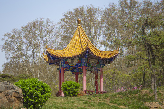 中式?jīng)鐾? style=