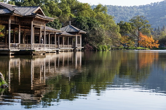 杭州花港觀魚公園秋色