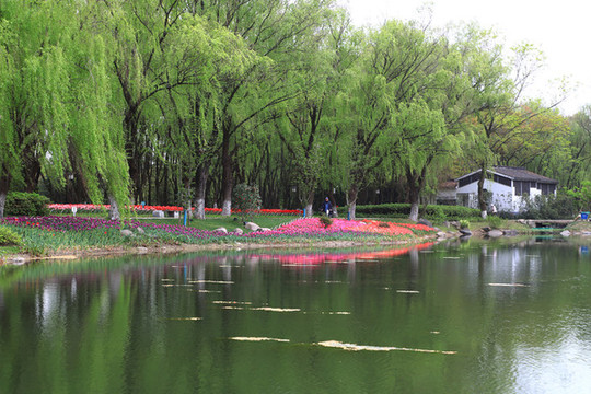 環(huán)境修復(fù)