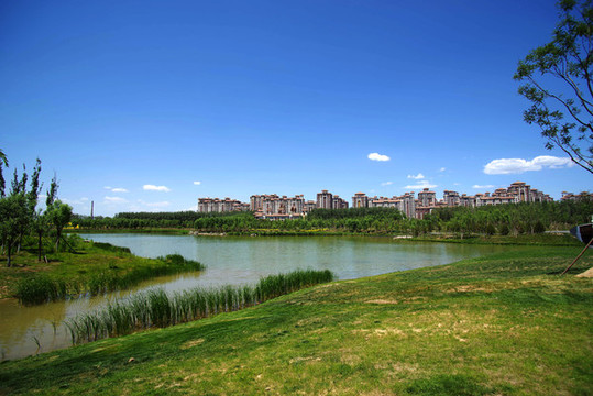 馬家灣濕地公園