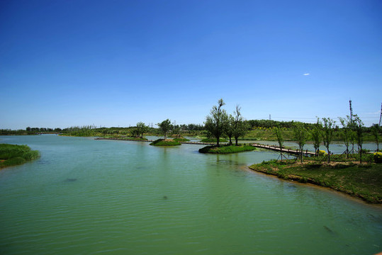 馬家灣濕地公園
