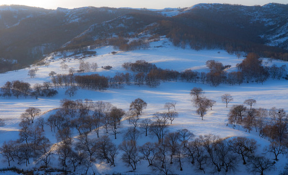 壩上雪野
