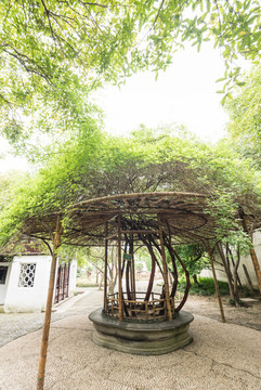 中國蘇州拙政園的蘇州園林古建筑