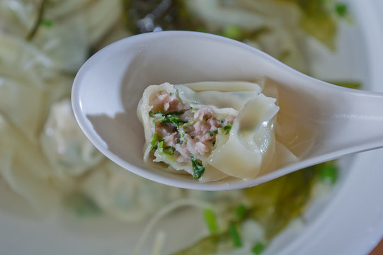 咬了一口的青菜鮮肉餛飩