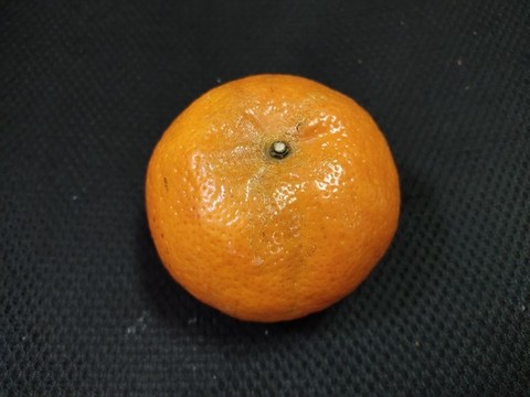 沃柑特寫