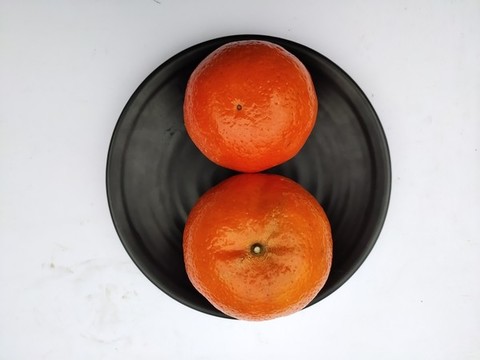 沃柑寫真