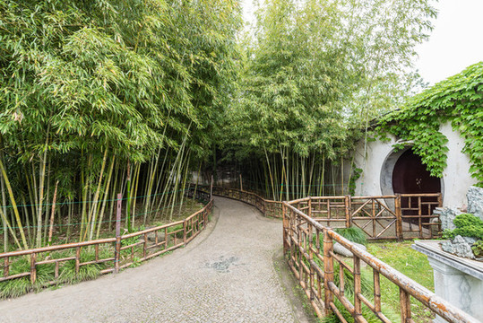 中國(guó)蘇州留園的盆景園