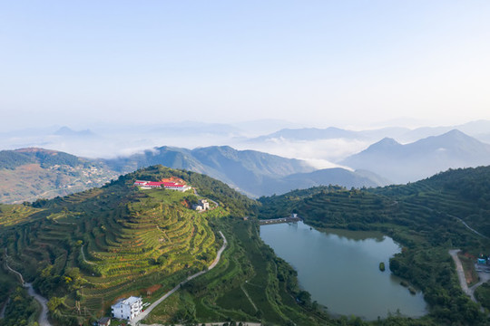 高山水庫階梯茶園