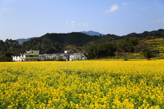 山水畫