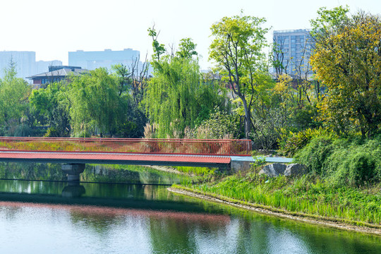 成都錦城湖公園生態(tài)湖風光