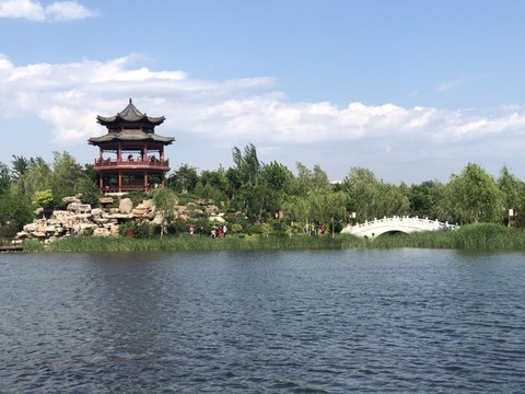 夏日公園一角