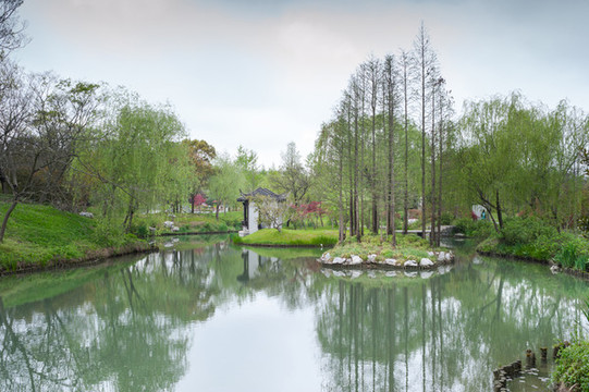 園林水景