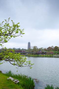 中式園林豎構圖