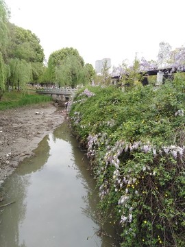 小溪岸邊