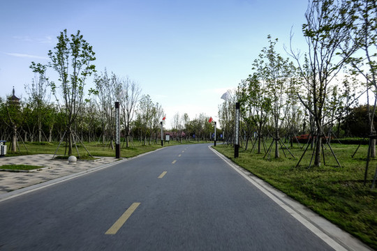 園區(qū)道路
