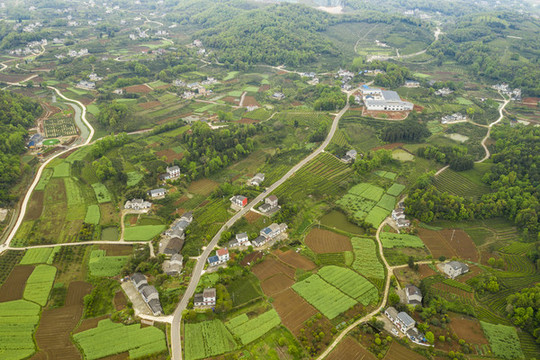 春天田園風(fēng)光