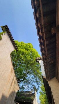 江南古建筑