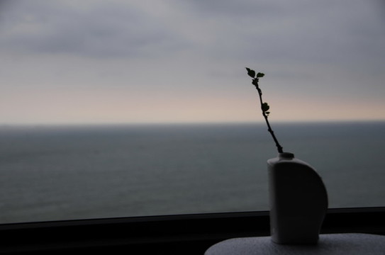 窗外的海