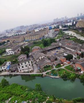 大雜院