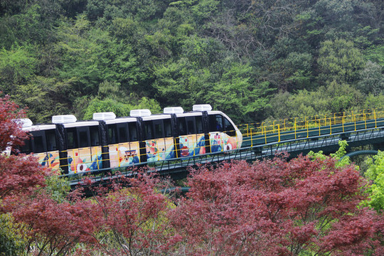 觀光列車