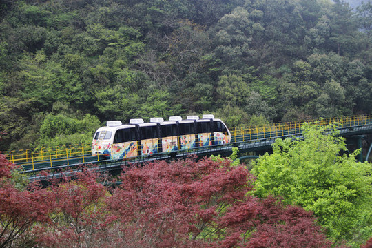 山林觀光列車