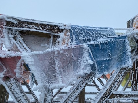 雪景