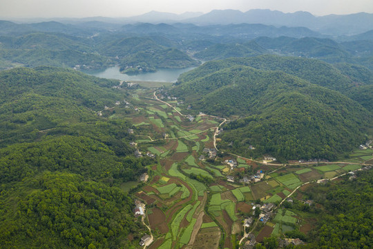 大山田園水庫