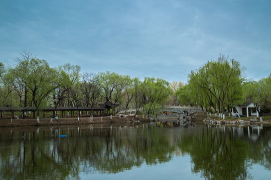 西沽公園