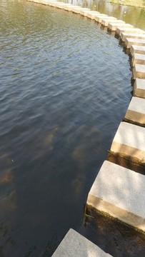 水面小徑