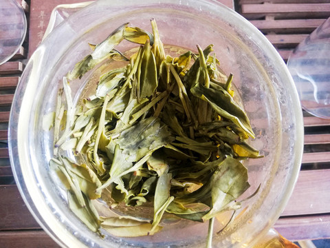 泡茶