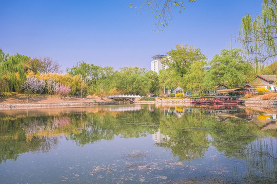 北京紫竹院公園