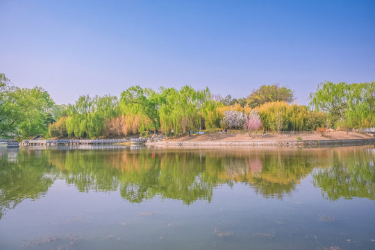 北京紫竹院公園