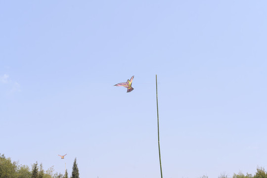 風(fēng)箏
