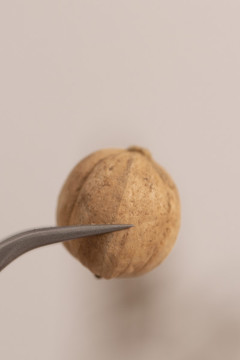 豆蔻