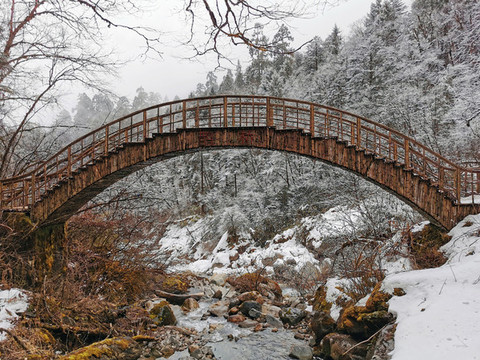 竹拱橋