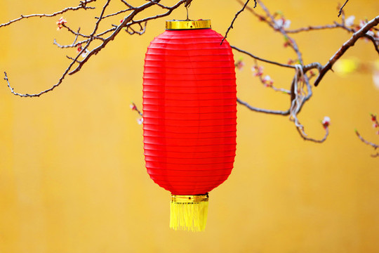 紅燈籠