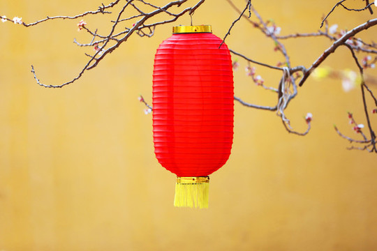 紅燈籠