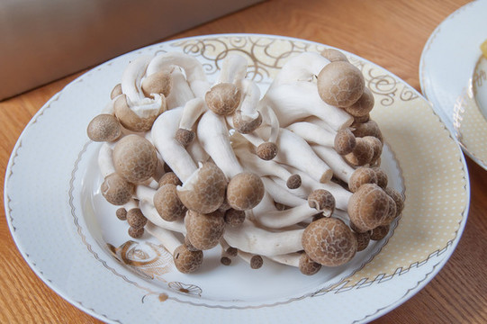 蟹味菇