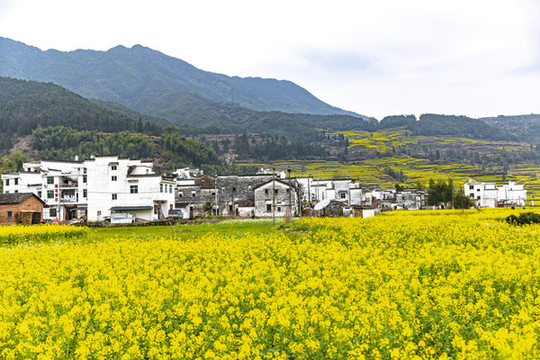 婺源新農(nóng)村風(fēng)光
