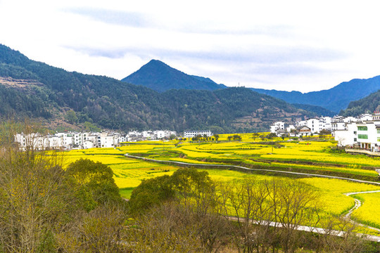 婺源新農(nóng)村風(fēng)光