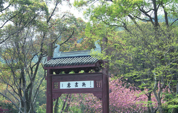 無(wú)錫靈山景區(qū)一角