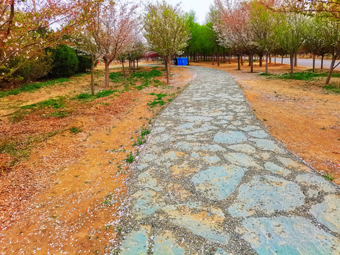 森林公園
