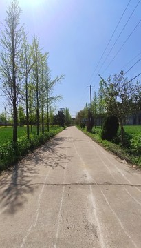 鄉(xiāng)村小道