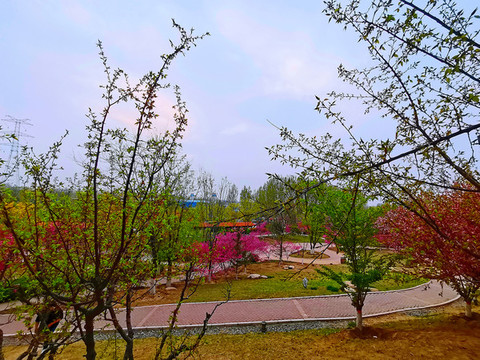 森林公園