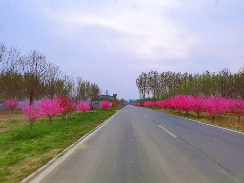 自然公園