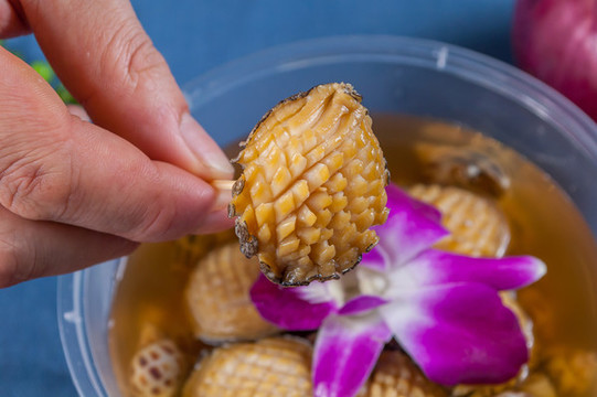挑一只鮑魚仔