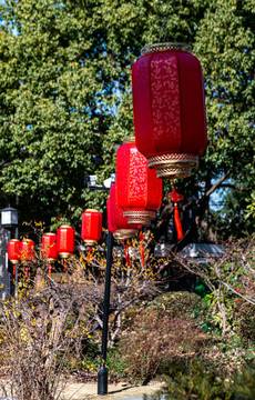 上海普陀真如公園